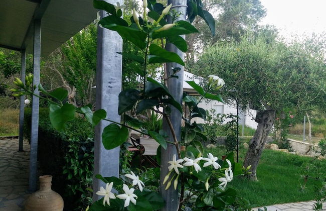 Villa Lou Corfu - Kalivioti Beach - Photo 29