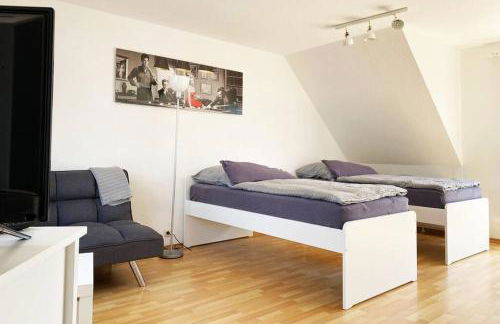 Apartment mit Dachterrasse nahe Zwickau - Foto 3