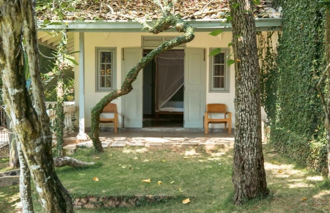 Elevated Family Beach Villa Overlooking Surf Break - Foto 26