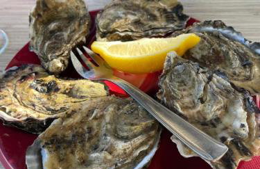 Le Chalet de Kervignon - Foto 12