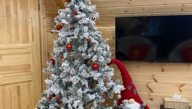 LE TIKI Perché - Foto 5