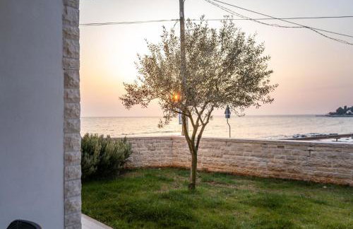 Apartment Nobilis - Photo 18