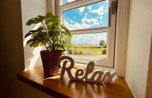 Boddenkutter - Foto 49