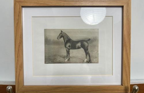 Hog Plum 2 Bed,Ground Floor, Centre Child Okeford - Photo 9