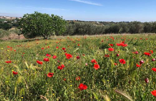 Casale Kintsugi - Foto 52