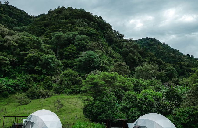 Glampling Nubes de Monteverde - Foto 69