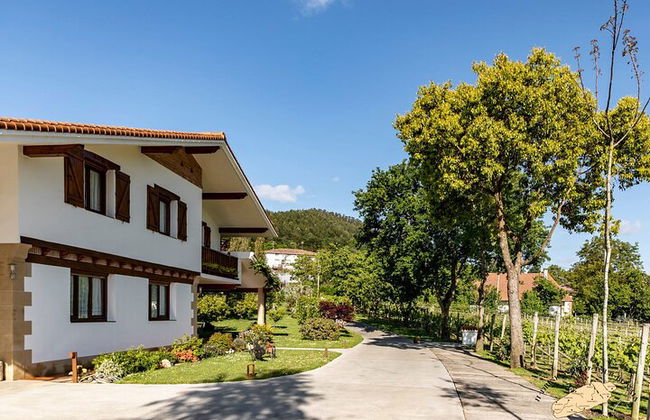 Visita privada al viñedo vasco : Cata de vinos Txakoli desde Bilbao - Foto 1