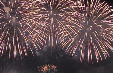 Le somptueux Le Gallia - Foto 22