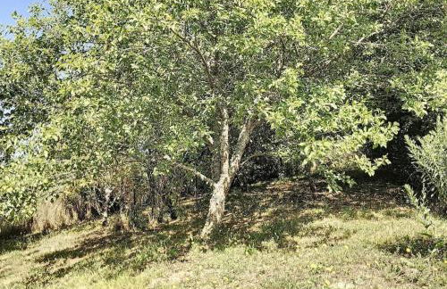 La Grange d'Ardichen vue sur les montagnes - Foto 29