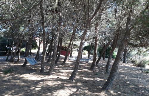 La Macciona - Photo 57