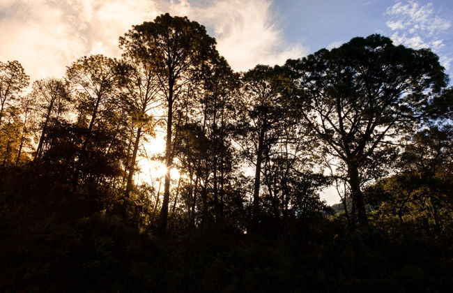 Sierra Lago Resort & Spa - Foto 7