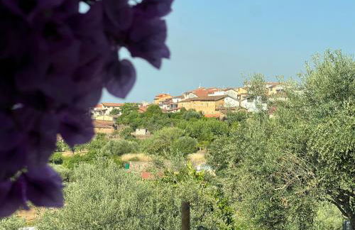 Apartamento Atalantar - Photo 52