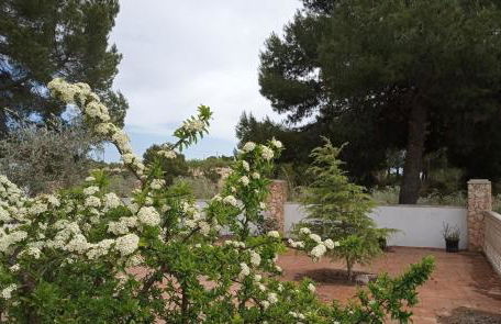 Casa de Pascual - Foto 20