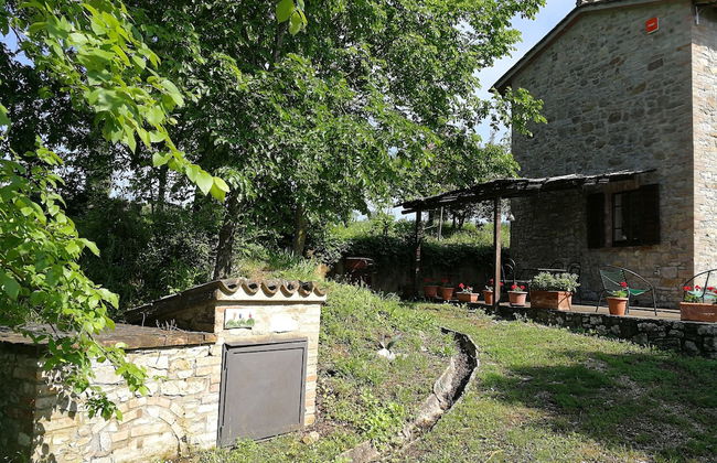 Agriturismo Casa Greppo - Il Noce - Foto 45
