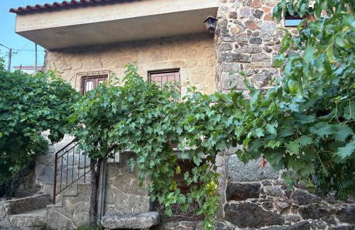 Oliveiras Misarela House - Photo 2