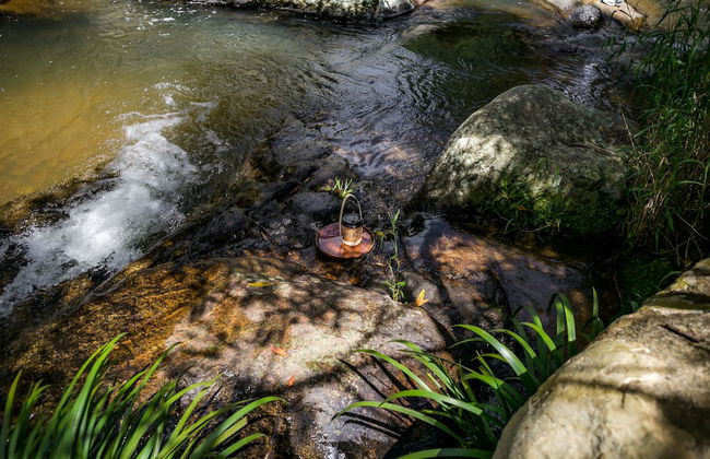 Du An Garden Retreat Forest - Photo 12