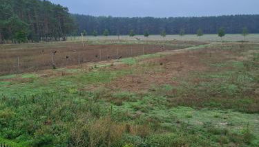 SECRA Exclusive Ferienwohnung Schlaubetal Müllrose 1 - Seenähe - Foto 3