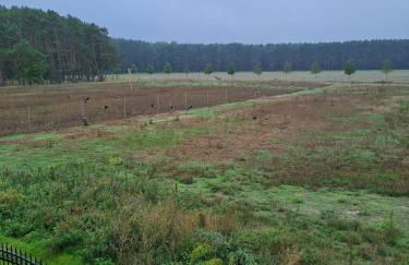 SECRA Exclusive Ferienwohnung Schlaubetal Müllrose 1 - Seenähe - Foto 3