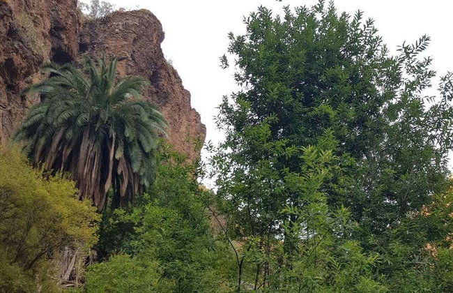 Senderismo por el barranco de Azuaje - Foto 8