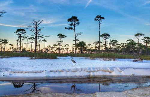 Tortuga Tillys - Foto 30