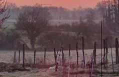 Gîte de la Maison du L.A.C - Foto 35