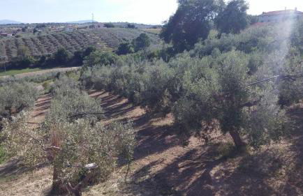 Domus Quarticelli Costa dei Trabocchi - Foto 72