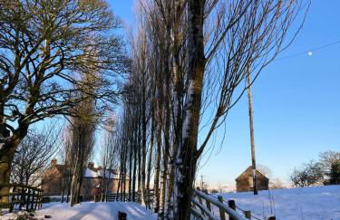 Peace & Tranquillity - Breathe Nature & Star Gaze - Photo 71