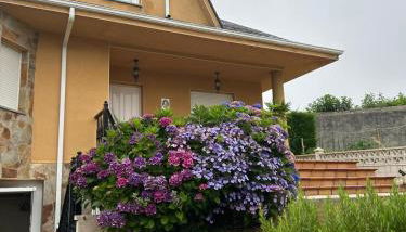 Estupenda casa cercana a la playa y a la montaña VUT6678AS - Foto 2, Garden view