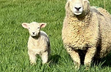 Mayfield Lodge, Paxford, Chipping Campden GL55 6XU - Photo 29