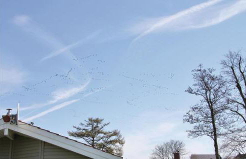 Strandpark 21 - Foto 21