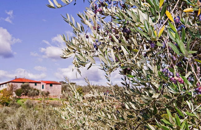 Farmhouse Abode With Pool and Tuscan Charm - Foto 19