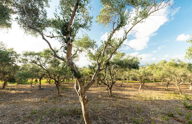 Casette di Calzata - Foto 19