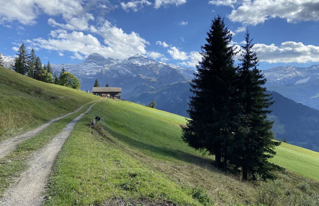 Chalet Weitblick - Foto 10