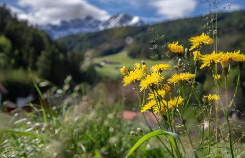 Willmüllerhof - Foto 18