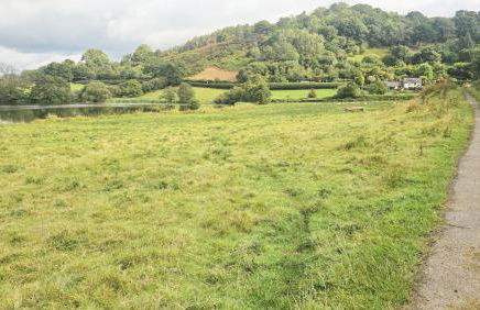 Abbey Cottages- Red Kite Lodge - Foto 22