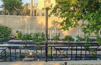 Villa Katerina - Photo 34