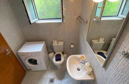 Patras Palm Tree - Foto 28