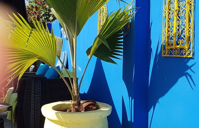 Camara Gardens Apartments with Pool - Photo 19