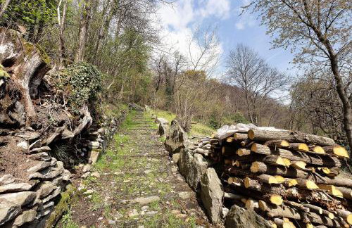 La torretta di Mozzola - Foto 44