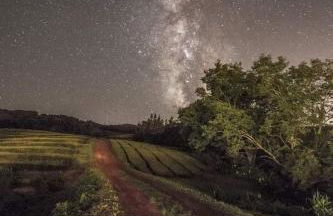 Blue And Gold Cozy Home - Photo 30