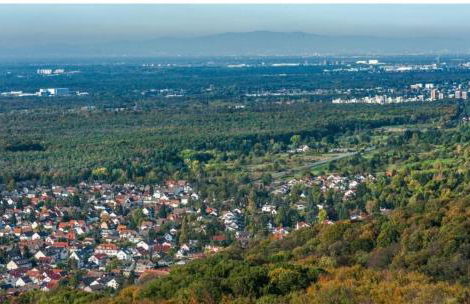 Casa Wilhelm - Foto 13