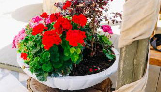 Niriides Apartments - Foto 2, Garden