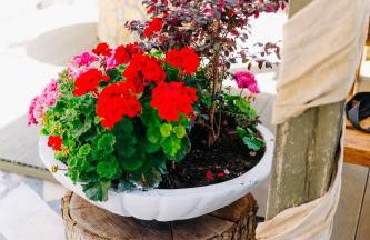 Niriides Apartments - Foto 2