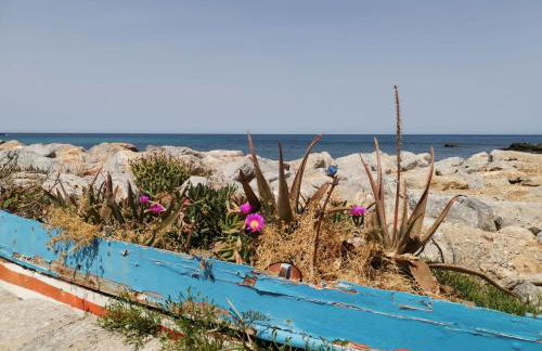 Ovidio home - Foto 27