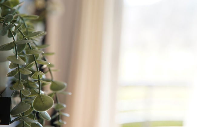 Oikos Leisure Pension - Foto 73