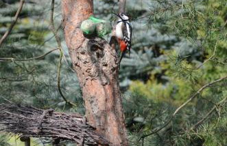 Uroczysko Lubiaszów - Foto 73