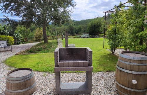 Cà Mia - Casa vacanze nelle vigne del Barolo - Foto 12