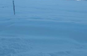 Apartman Djak - Foto 3