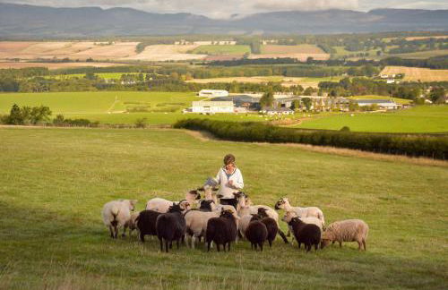 The Studio at Pitmeadow Farm - Photo 9