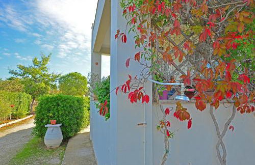 Tzitzi Pistachio Villa - Foto 27